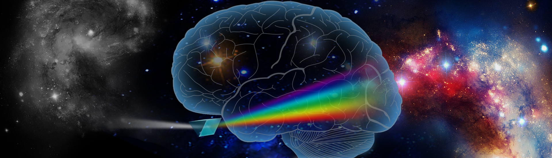 中科院脑智卓越中心发现大脑中的调色板