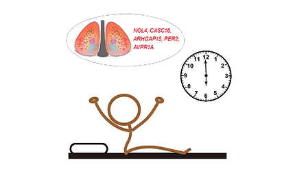 脑智卓越中心首次绘制人类生物钟中枢细胞图谱