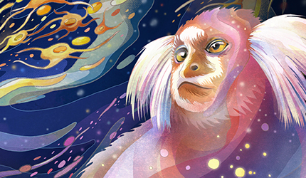 脑智卓越中心合作发现大脑皮层双梯度组织规律