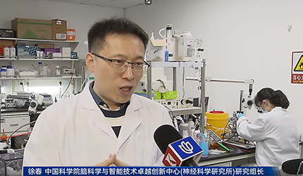 【上海电视台】中国科学院脑智卓越中心解析小鼠海马单神经元全脑投射规律